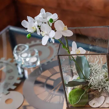 Ostseebad, Sellin, Ruegen, Ferienwohnung, شقة *