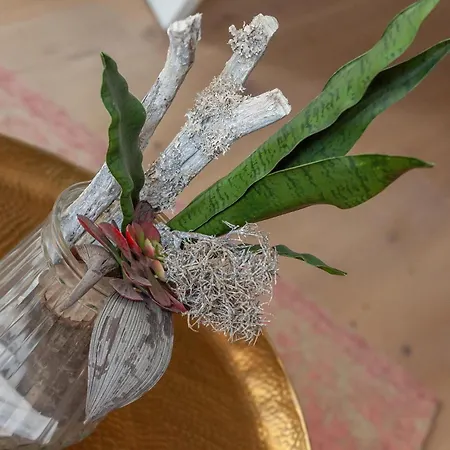 Ostseebad, Sellin, Ruegen, Ferienwohnung,