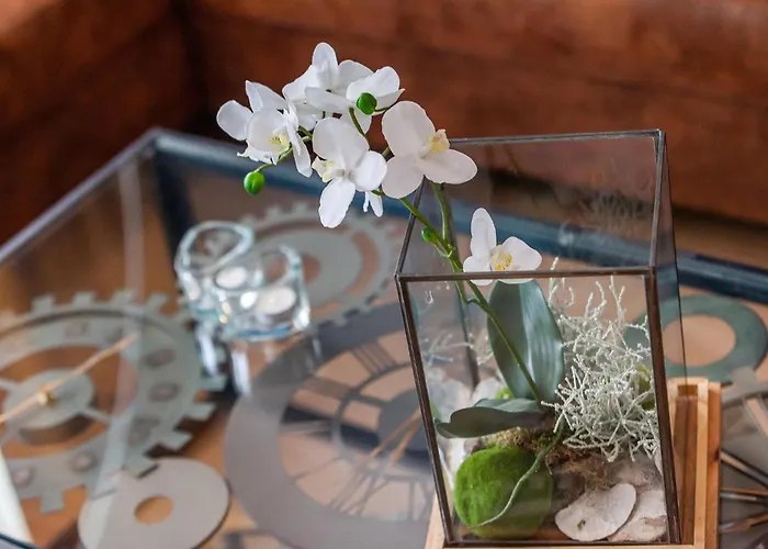 At Im First Apartment *